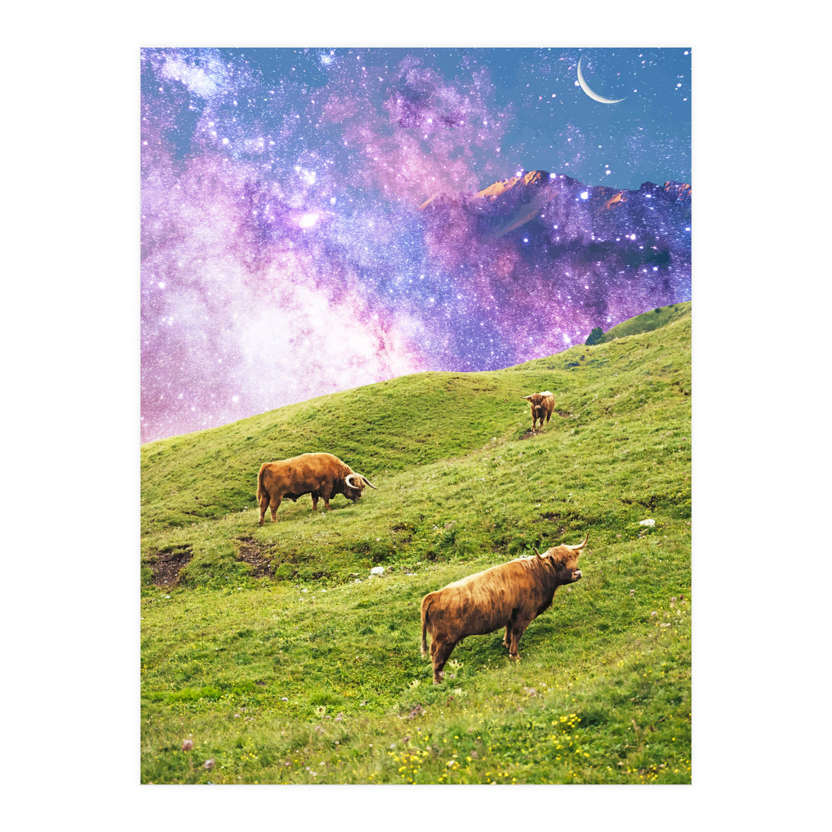 Space Cow Series II (Print Only)