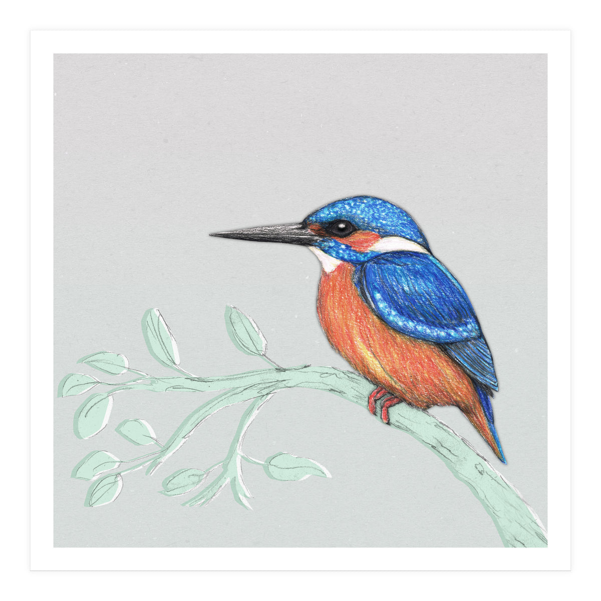 The kingfisher (Print Only)