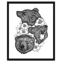 Bears In Bears