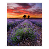 A Place To Dream (Print Only) thumbnail
