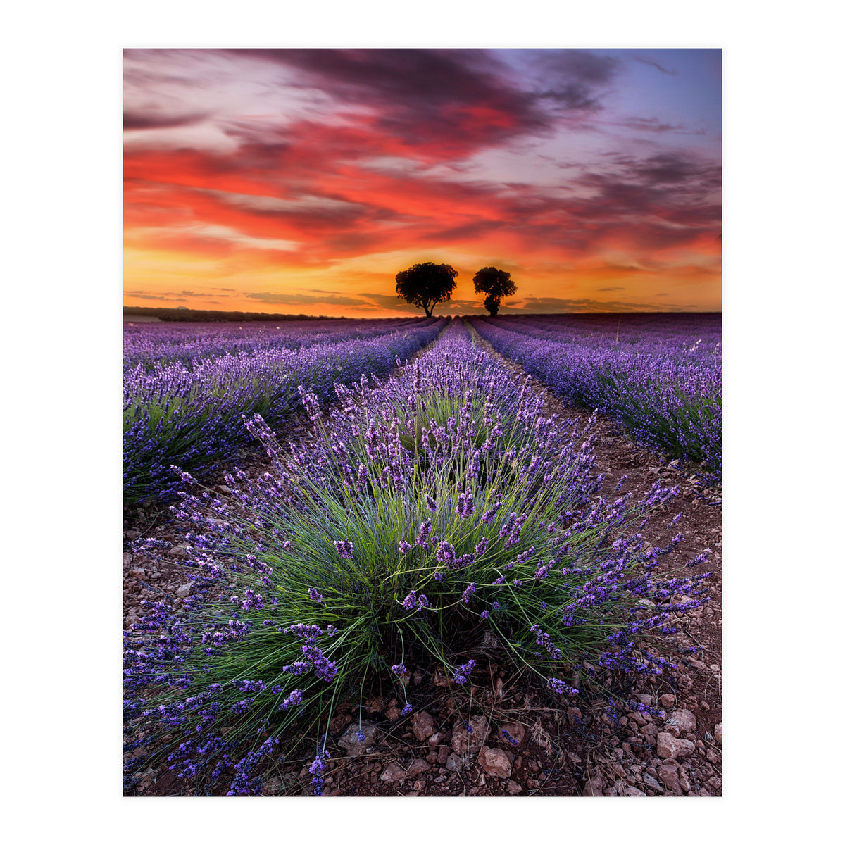 A Place To Dream (Print Only)