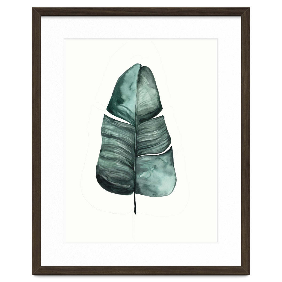 Botanical Illustration Banana Leaf