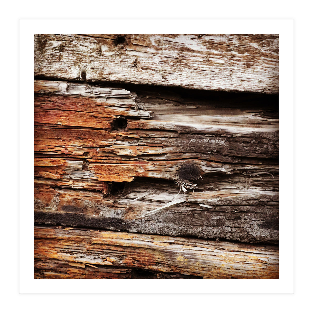 weather worn wood (Print Only)