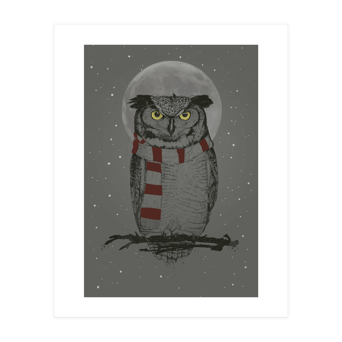 Winter Owl (Print Only)
