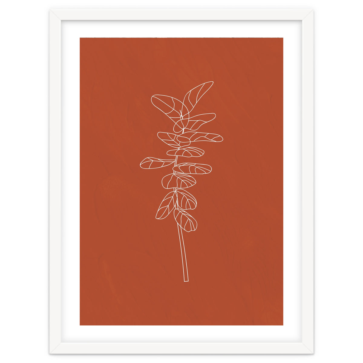 Line Art Botanical Terracotta