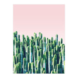 Cactus & Sunset I (Print Only) thumbnail