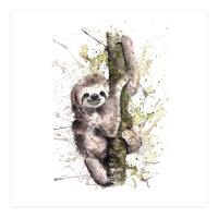 Sloth - Wildlife Collection (Print Only)