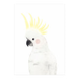 Sweet Cockatoo (Print Only) thumbnail