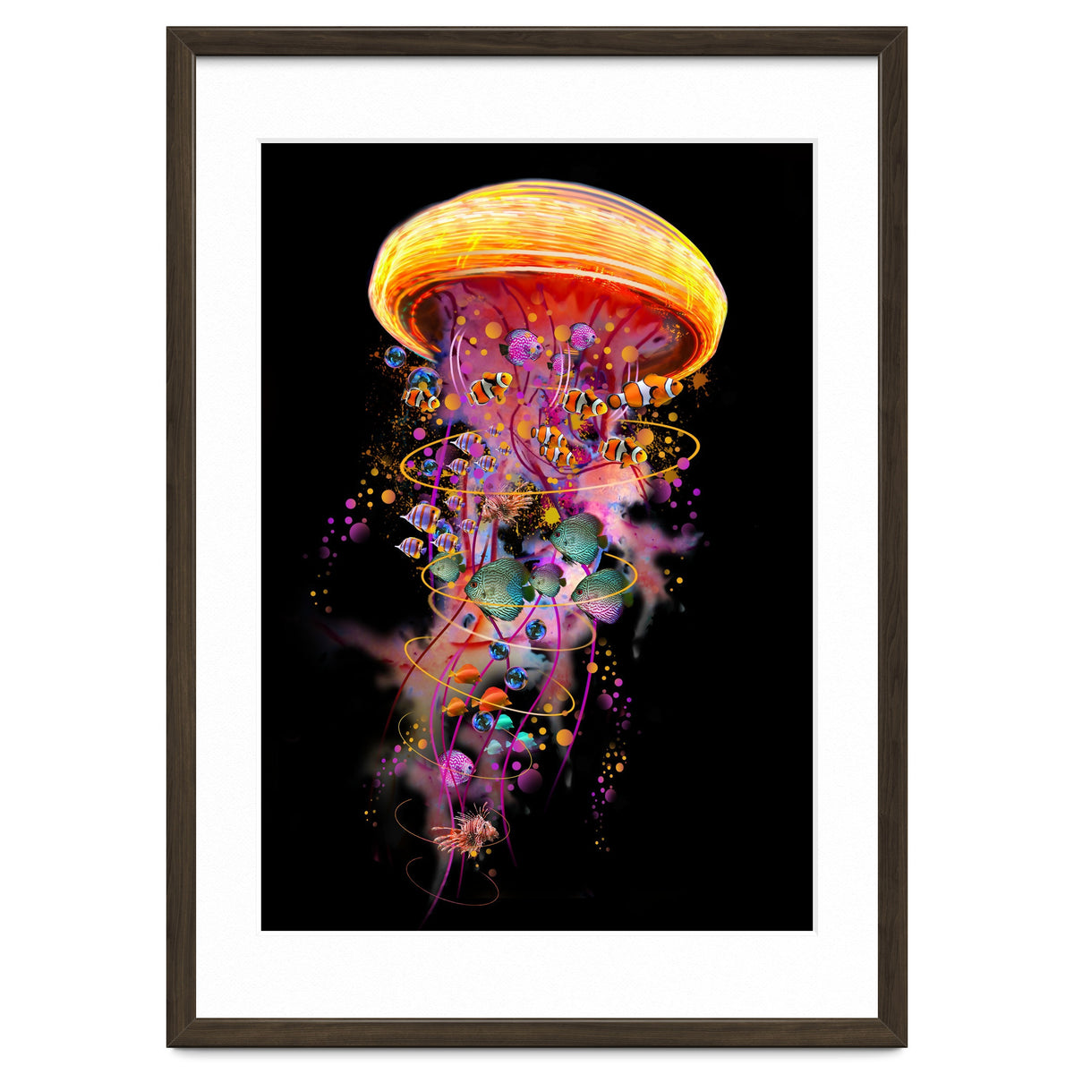 Jelly Fish Ride Summer2018 Dbh