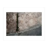 Urban #1 (Print Only) thumbnail
