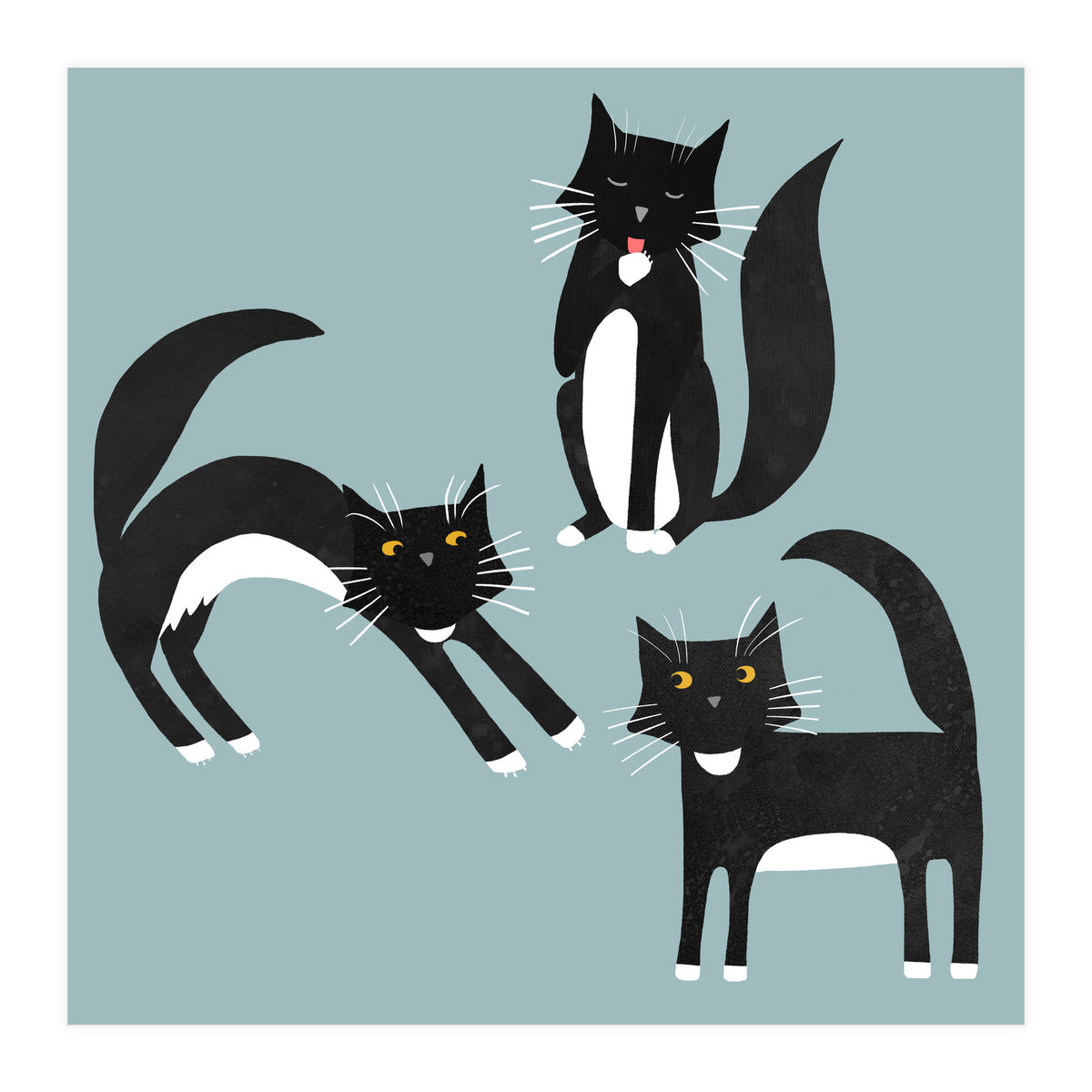 Black and White Tuxedo Cats (Print Only)