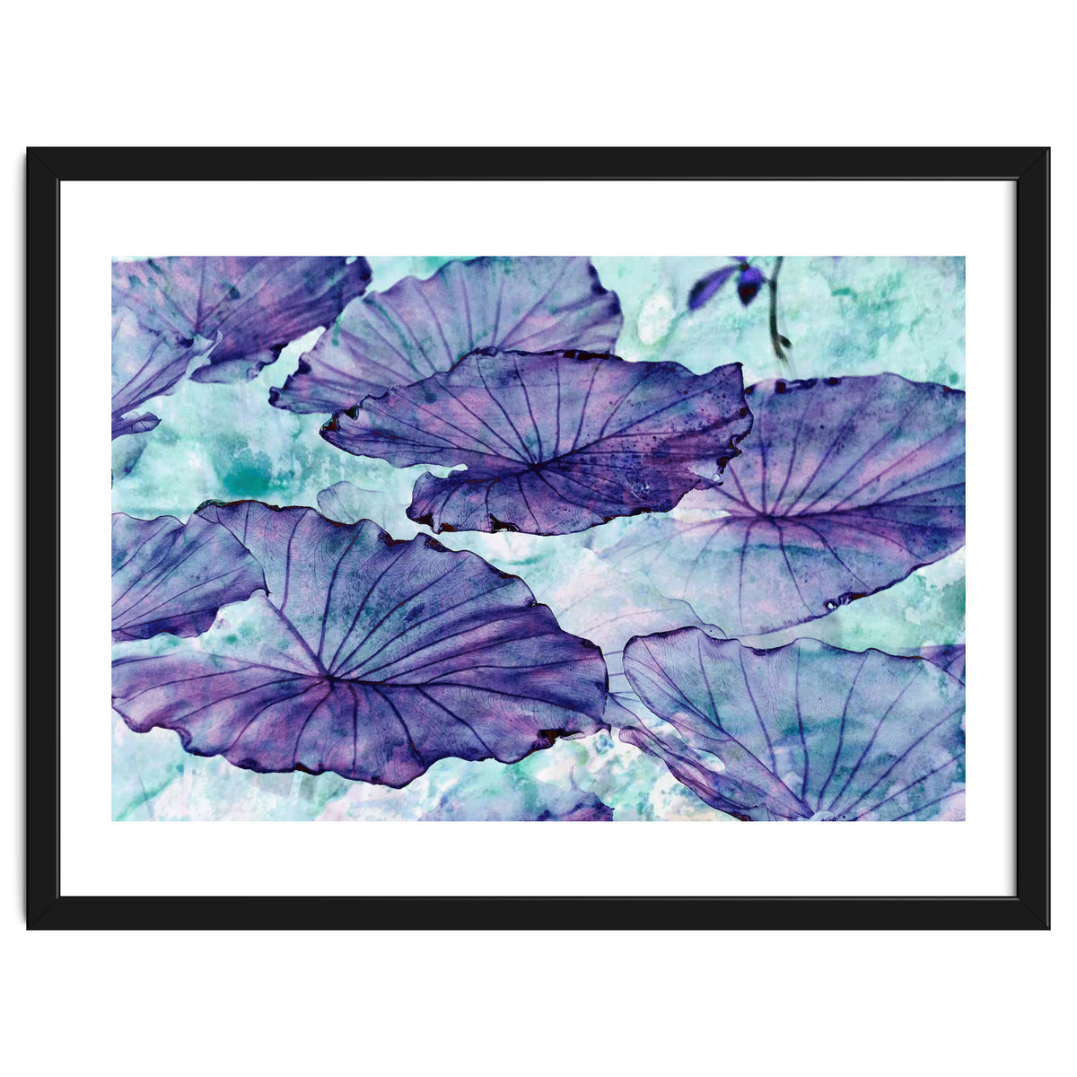 Botanical Surrealism