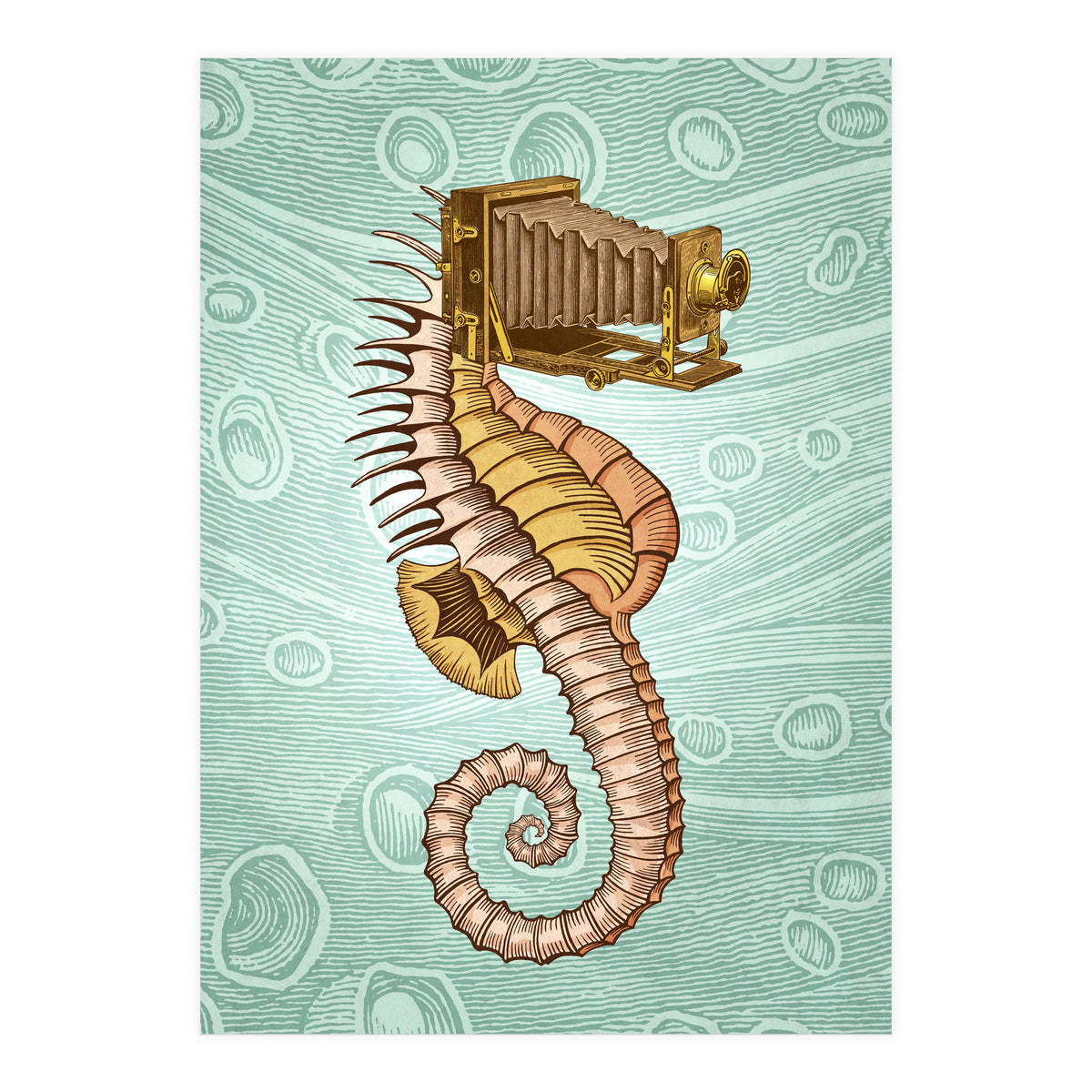 Hippocampus Camerarum (Print Only)