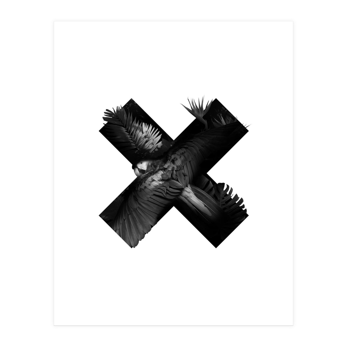 exotic nature (Print Only)