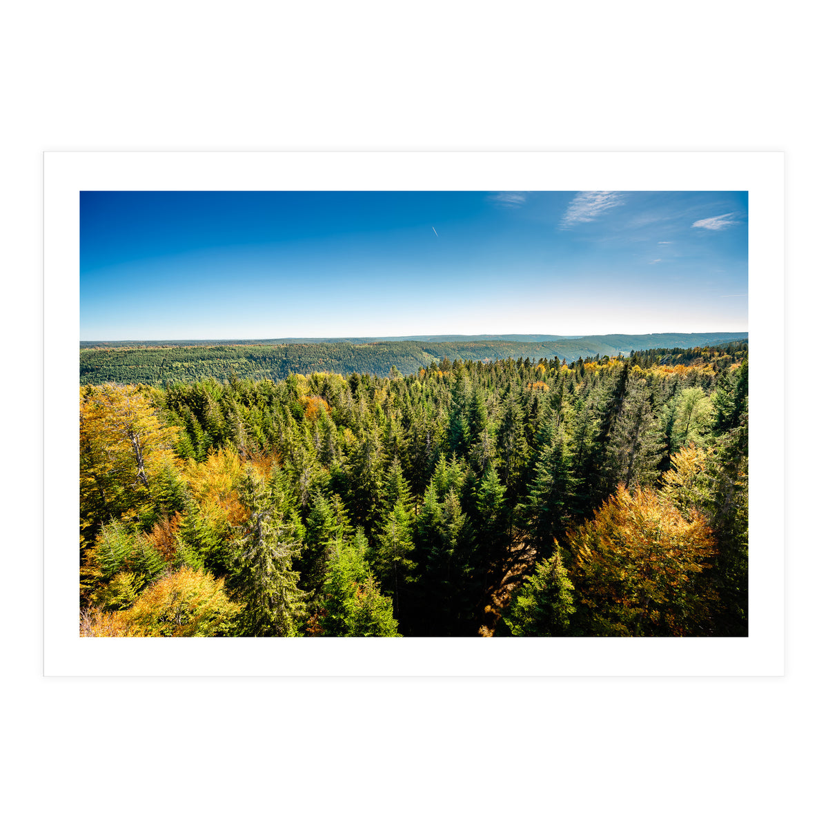 Black In Color (Print Only)