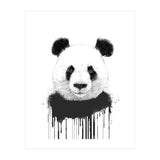 Graffiti Panda (Print Only) thumbnail