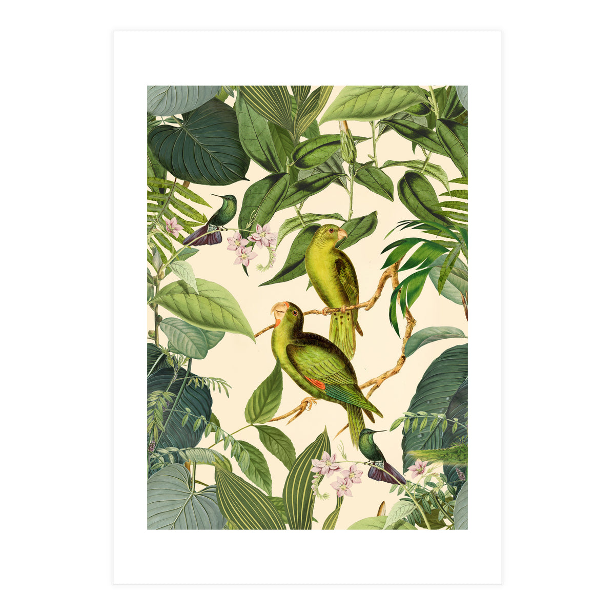 Green Jungle Parakeets (Print Only)