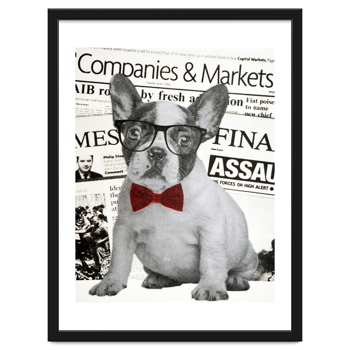 The Dog Of Wall Street