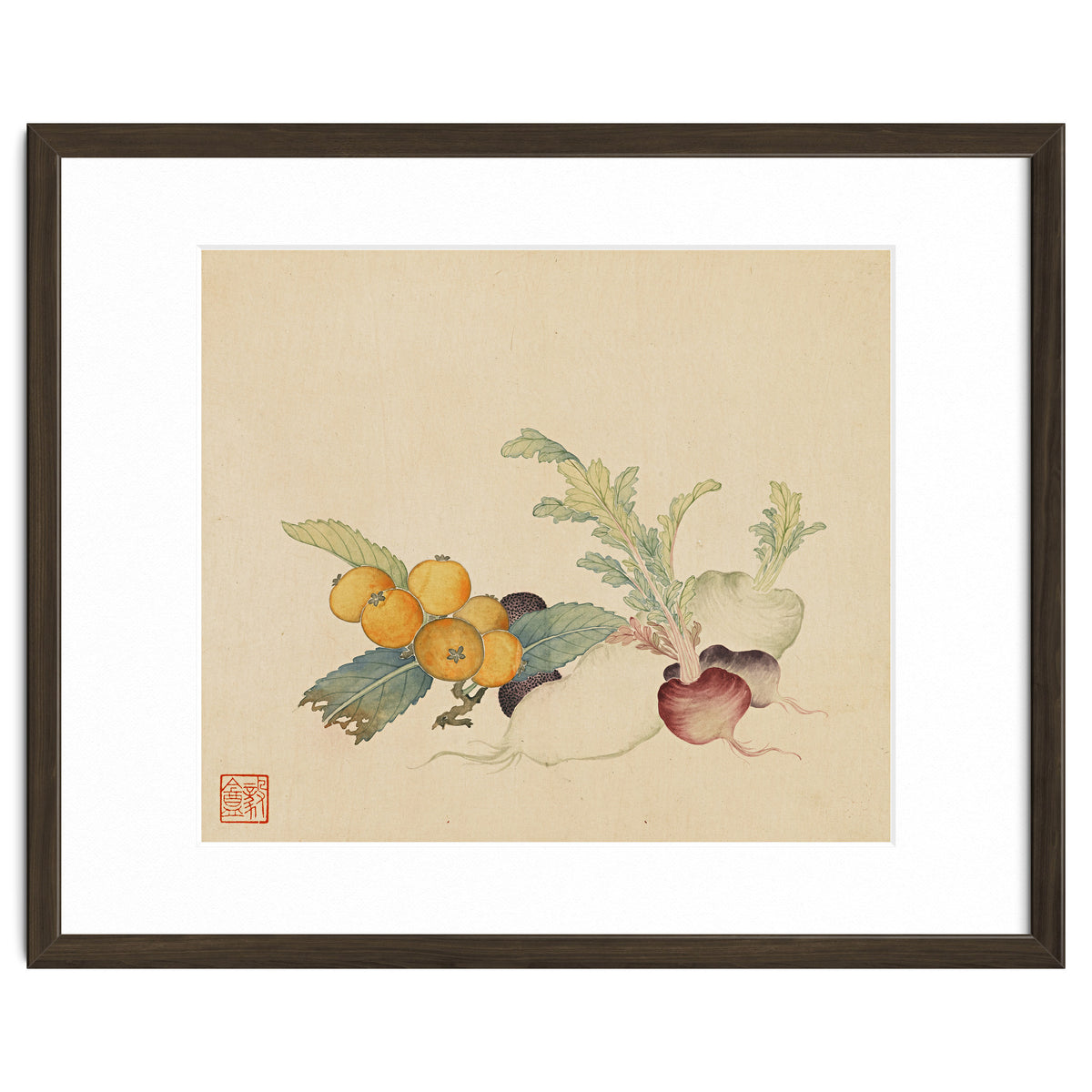 Wang Chengpi~flowers And Vegetables, Vegetables, Fruits, Loquat, White Radish, Carrot, Radish