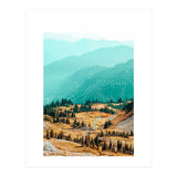 Delight Ii (Print Only) thumbnail