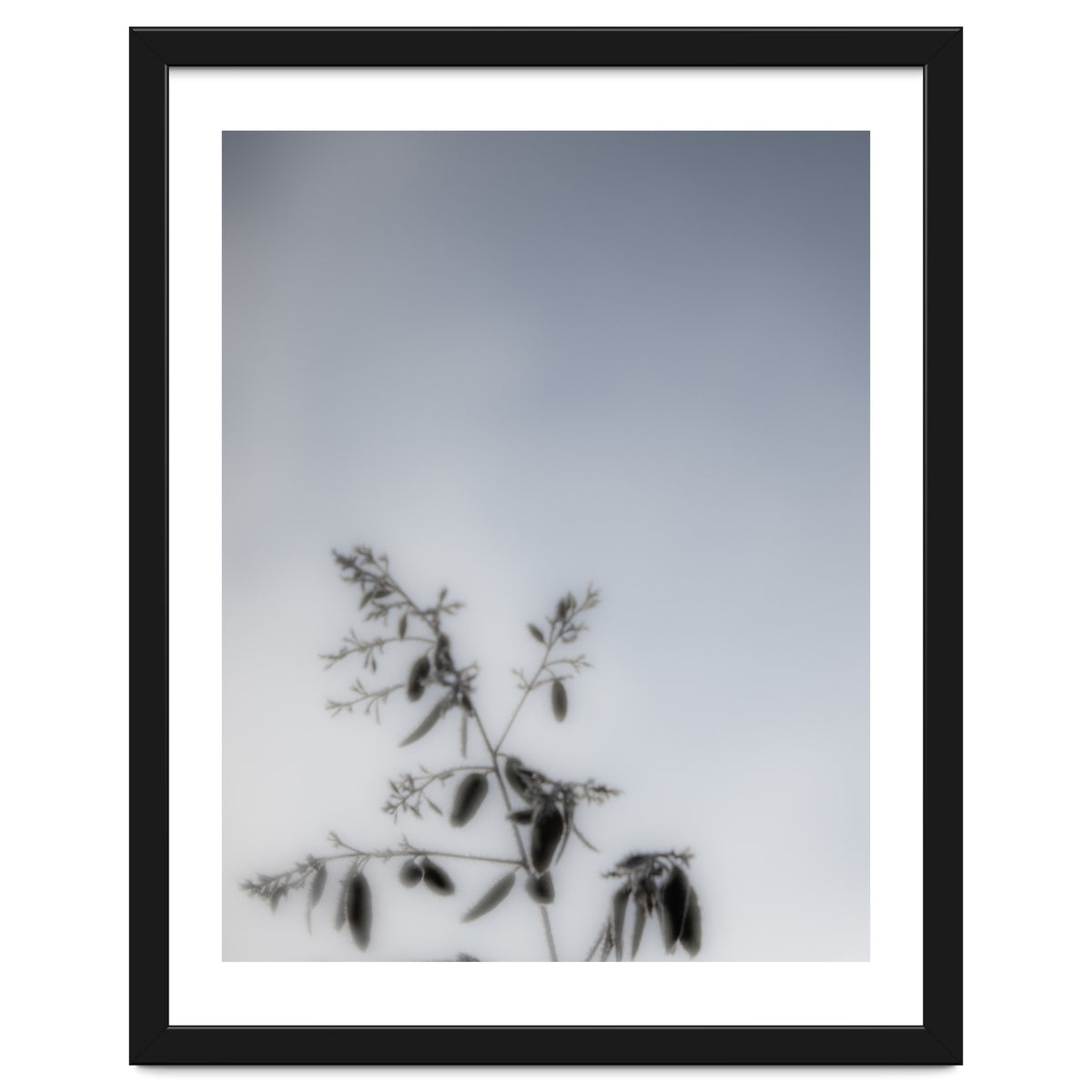 Forgotten Memories of Summer #17