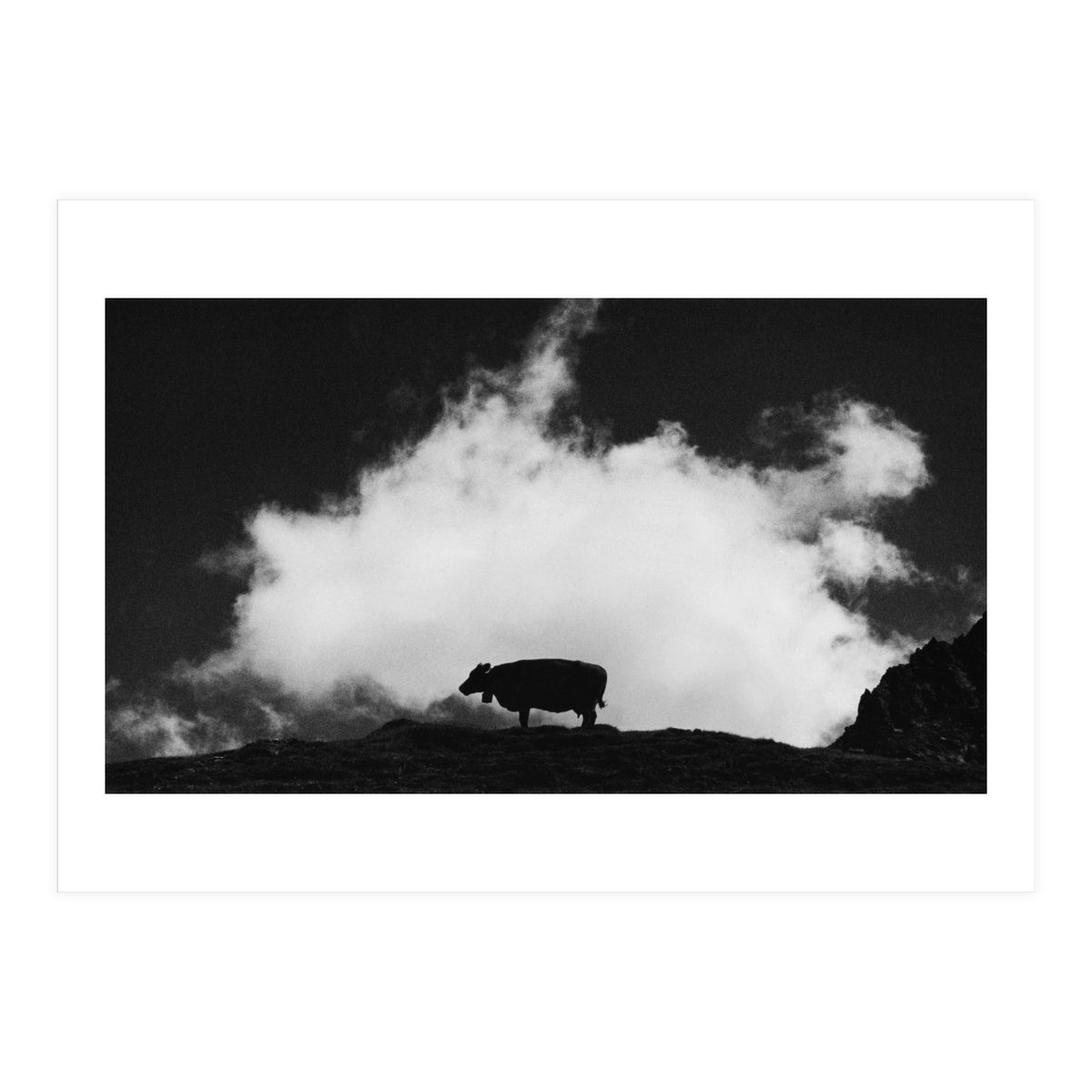 cow and cloud (Print Only)