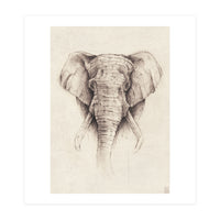 Elephant (Print Only)