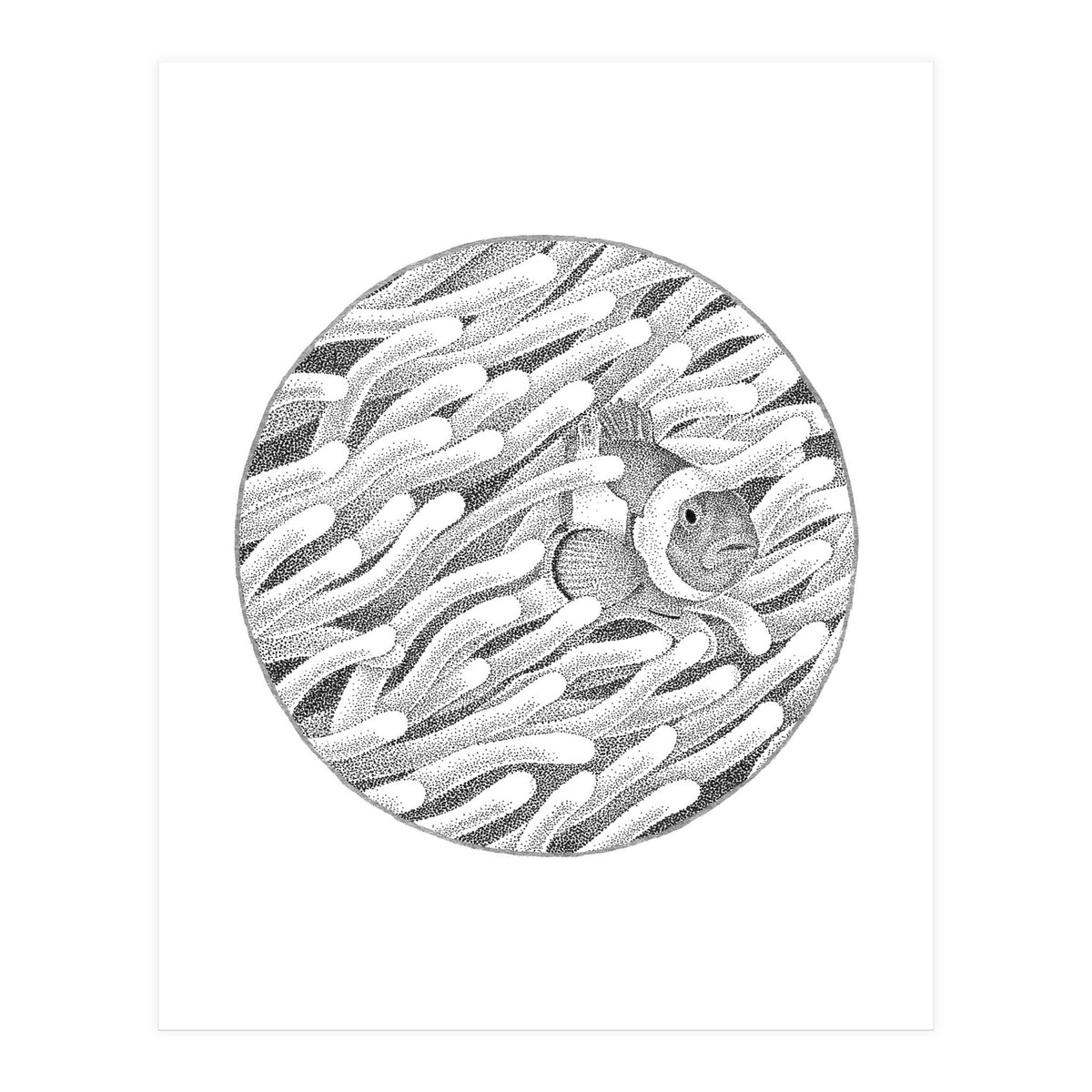 P.O. Underwater Gardens (Print Only)