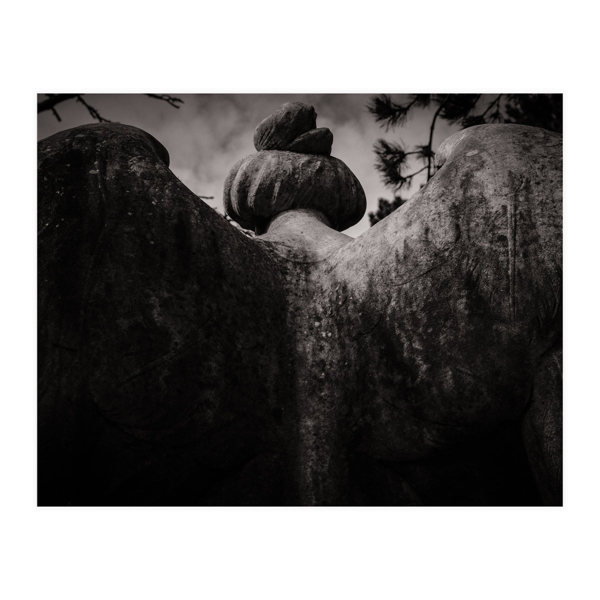 Angel Wings (Print Only)