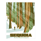 Sequoia National Park Poster (Print Only) thumbnail