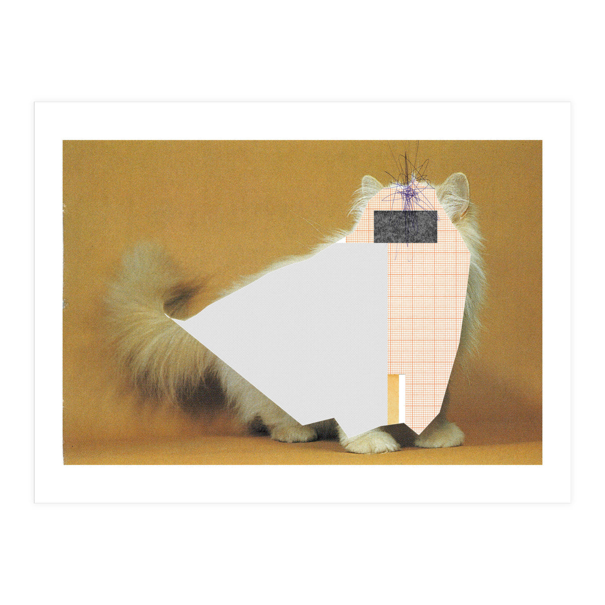 Content Of The Cat 1 (Print Only)