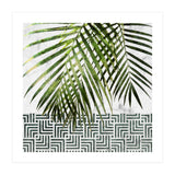 Palm Leaves On White Marble And Tiles (Print Only) thumbnail