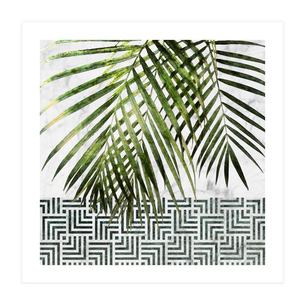 Palm Leaves On White Marble And Tiles (Print Only)