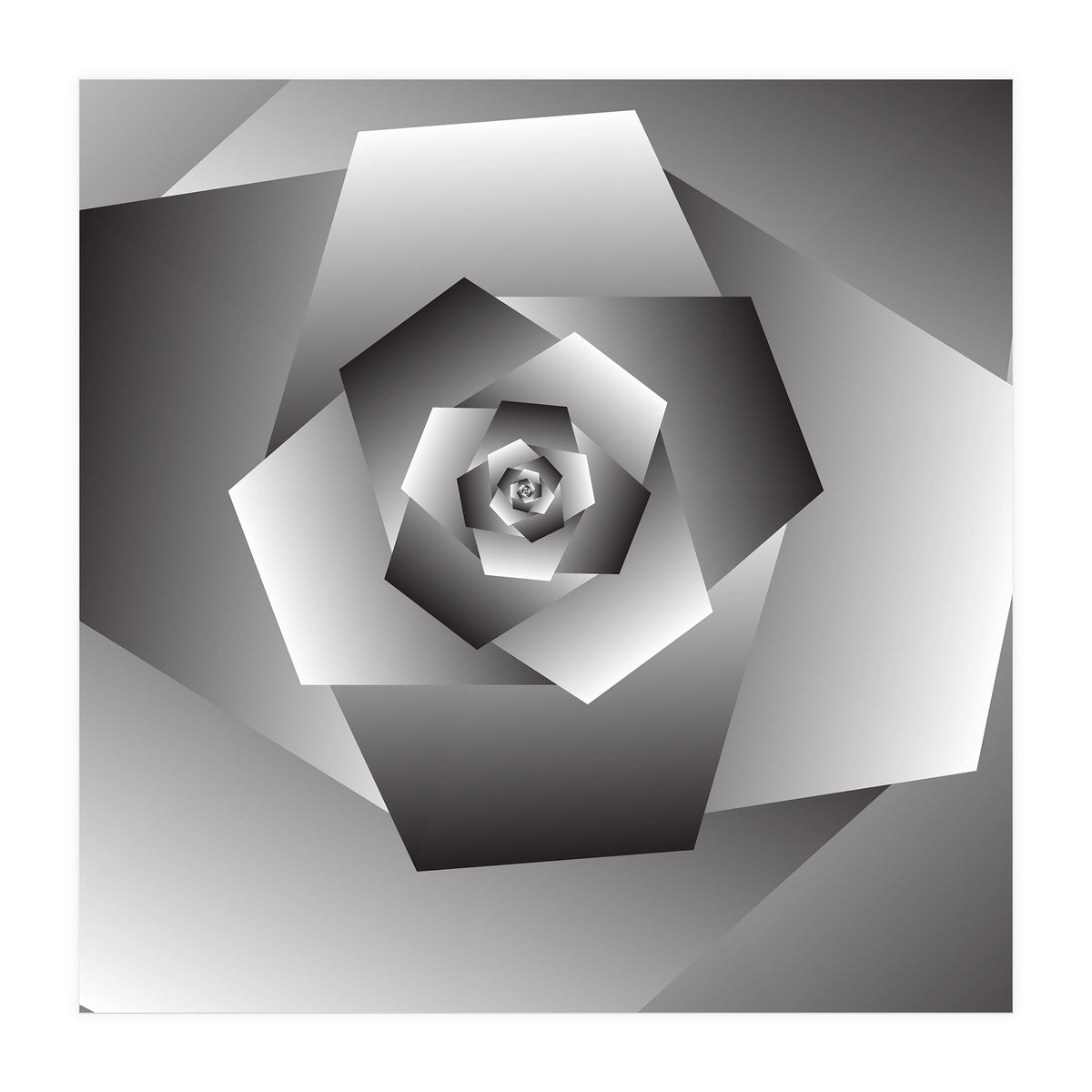 Monochrome Rose Spiral  (Print Only)