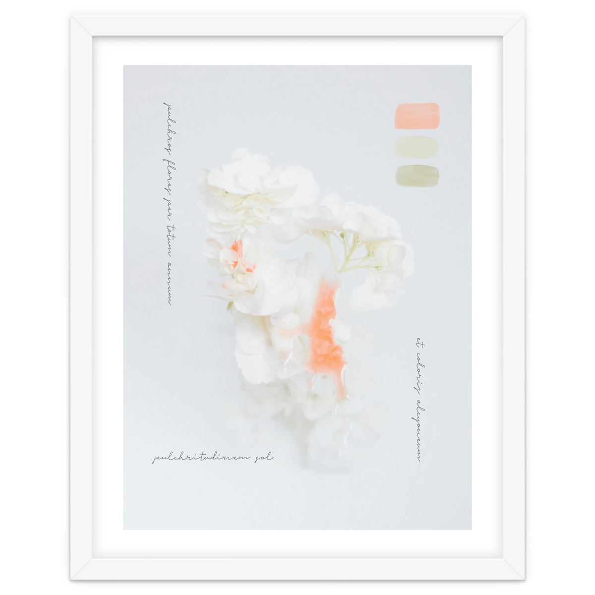 Modern Vintage Botanic