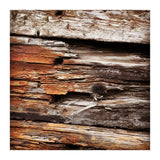 weather worn wood (Print Only) thumbnail