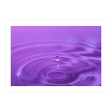 Nature (Print Only) thumbnail