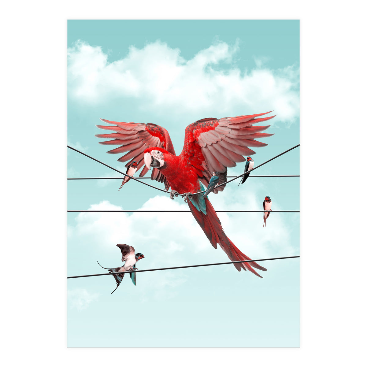 Colorful Stranger (Print Only)