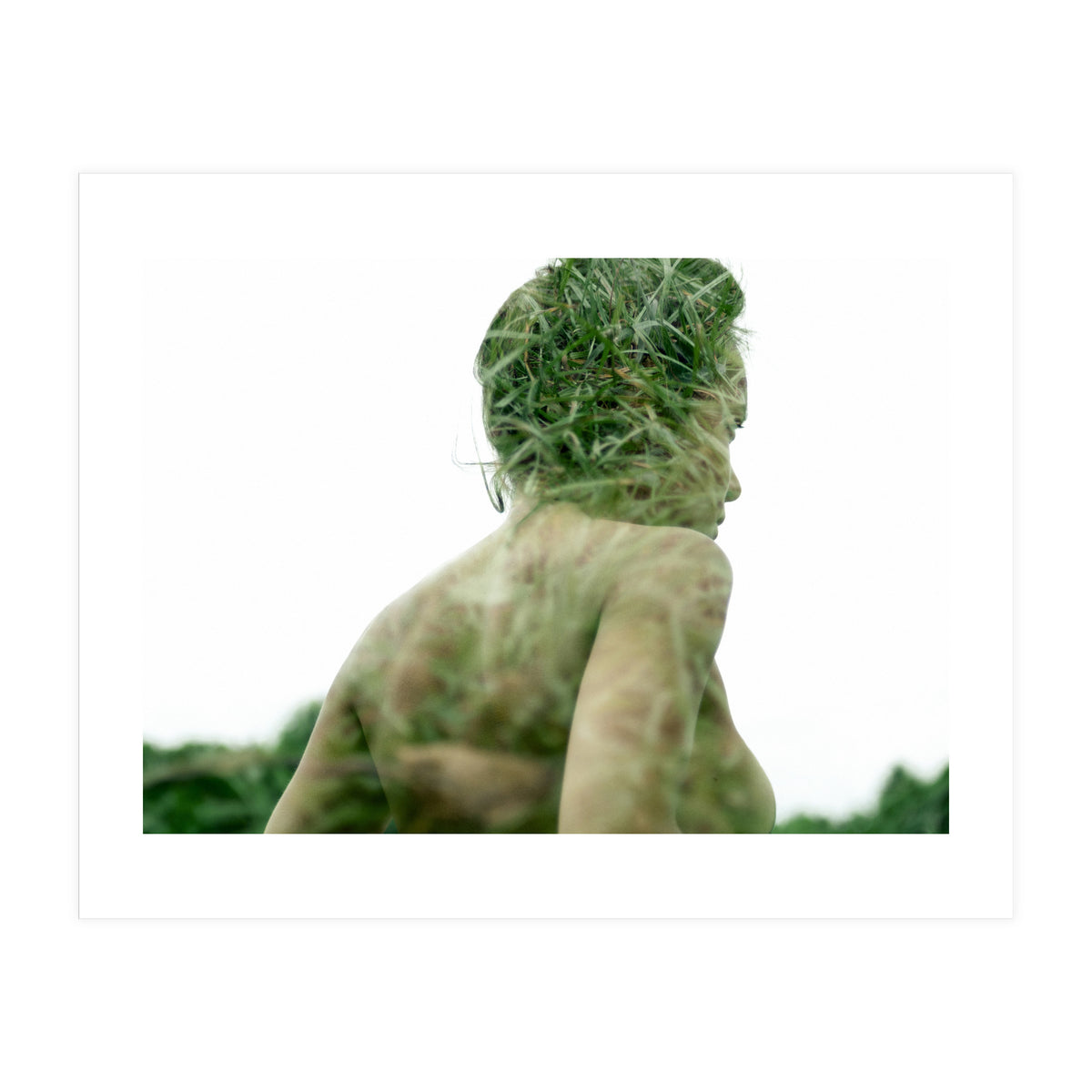 Grasshoppers (Print Only)