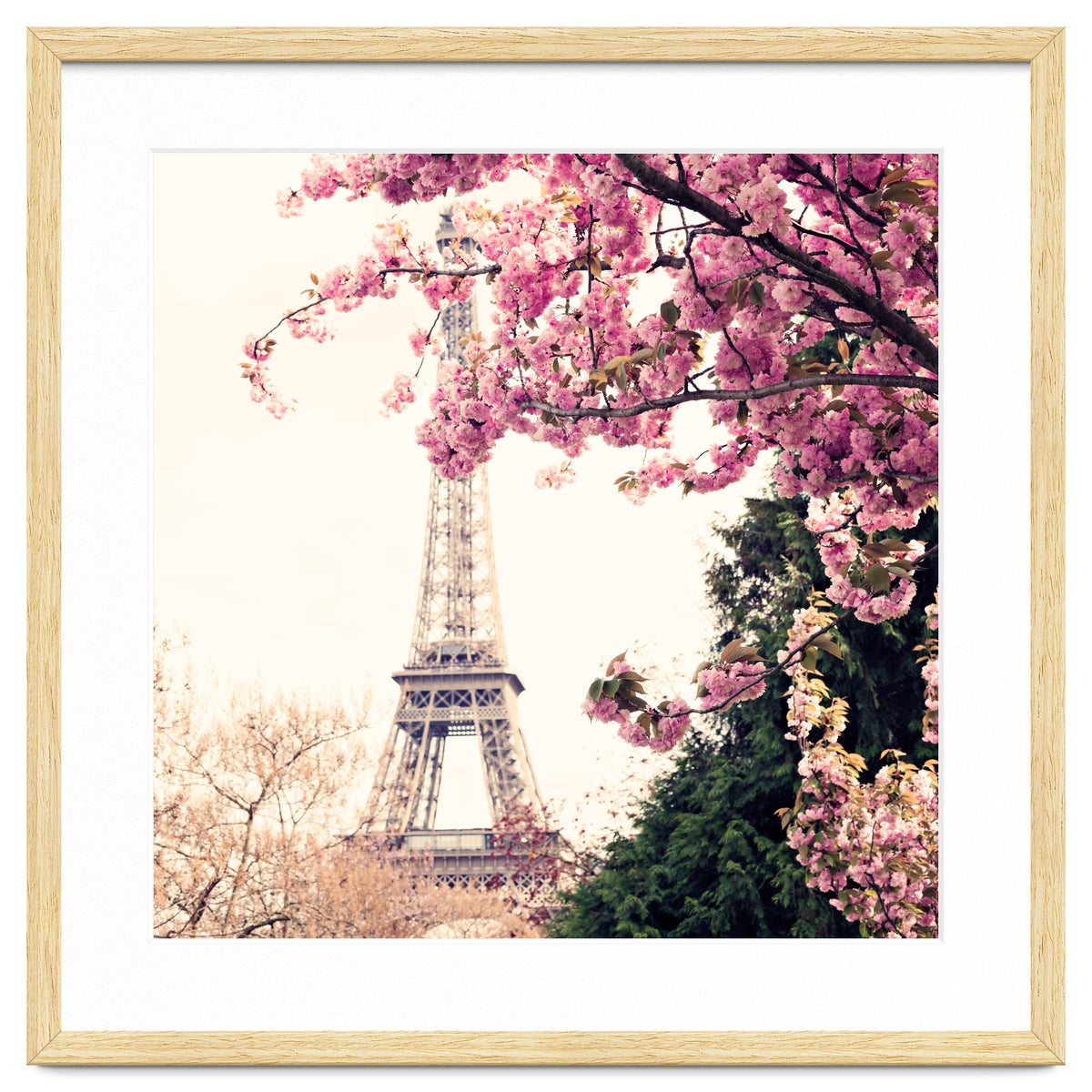 Paris in the Spring