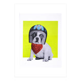 Easy Rider Dog (Print Only) thumbnail