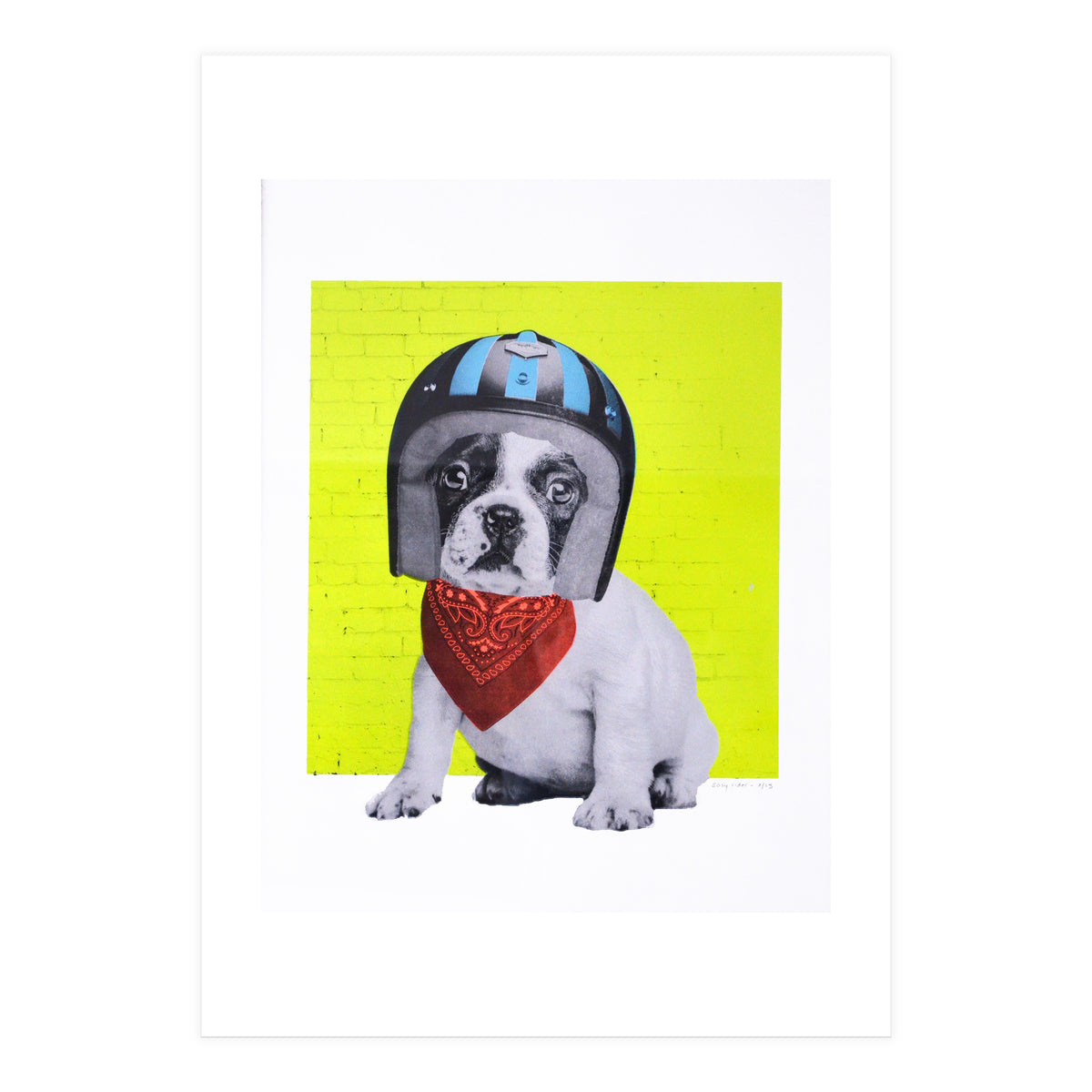 Easy Rider Dog (Print Only)