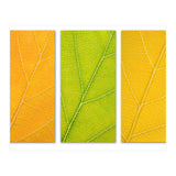 Autumn Leaves (Print Only) thumbnail