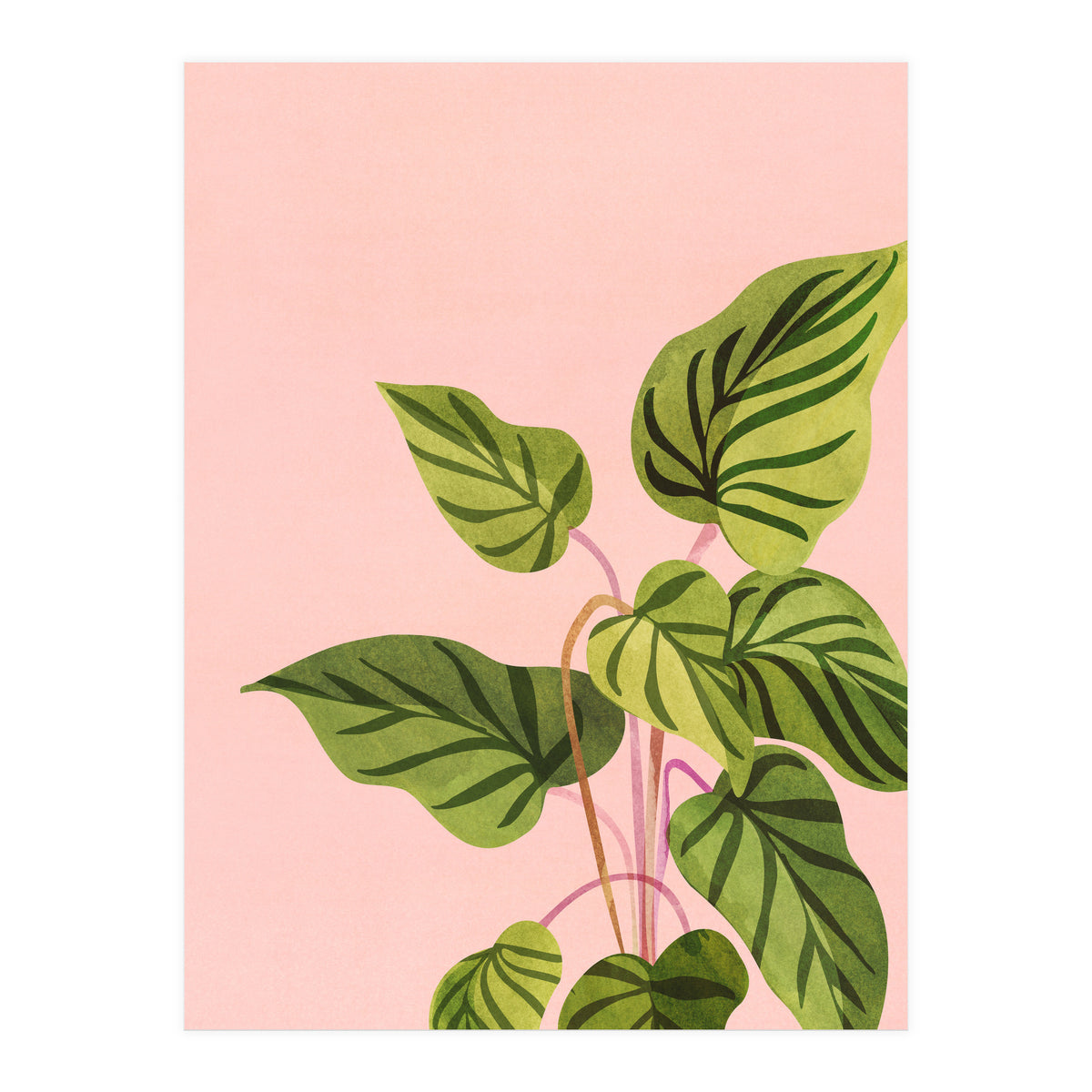 Tropical Rising (Print Only)