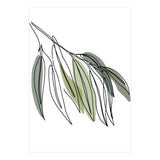 Willow (Print Only) thumbnail