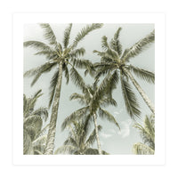 Lovely Palm Trees | Vintage (Print Only)