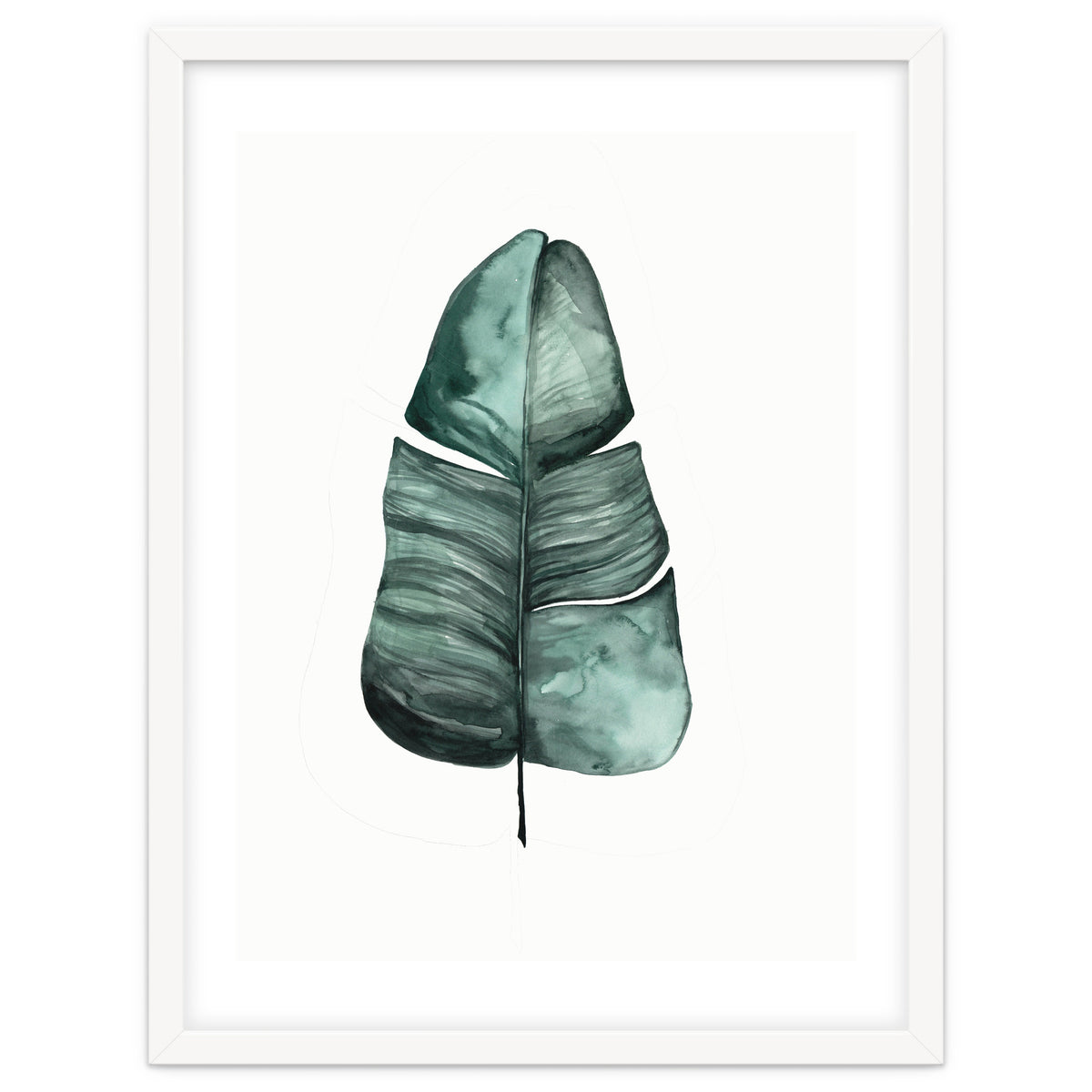 Botanical Illustration Banana Leaf