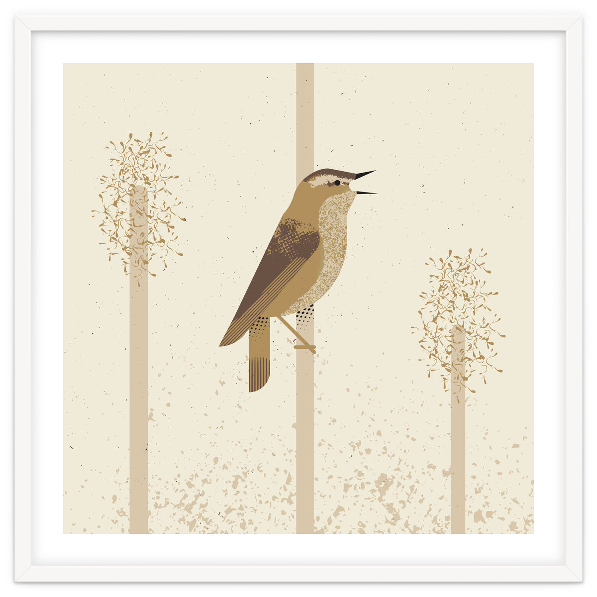 Sedge Warbler