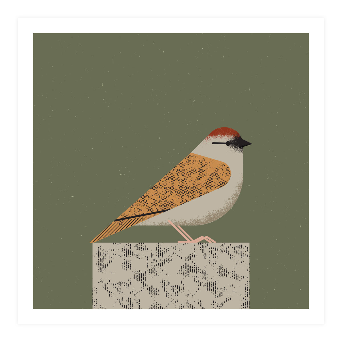 Sparrow  (Print Only)