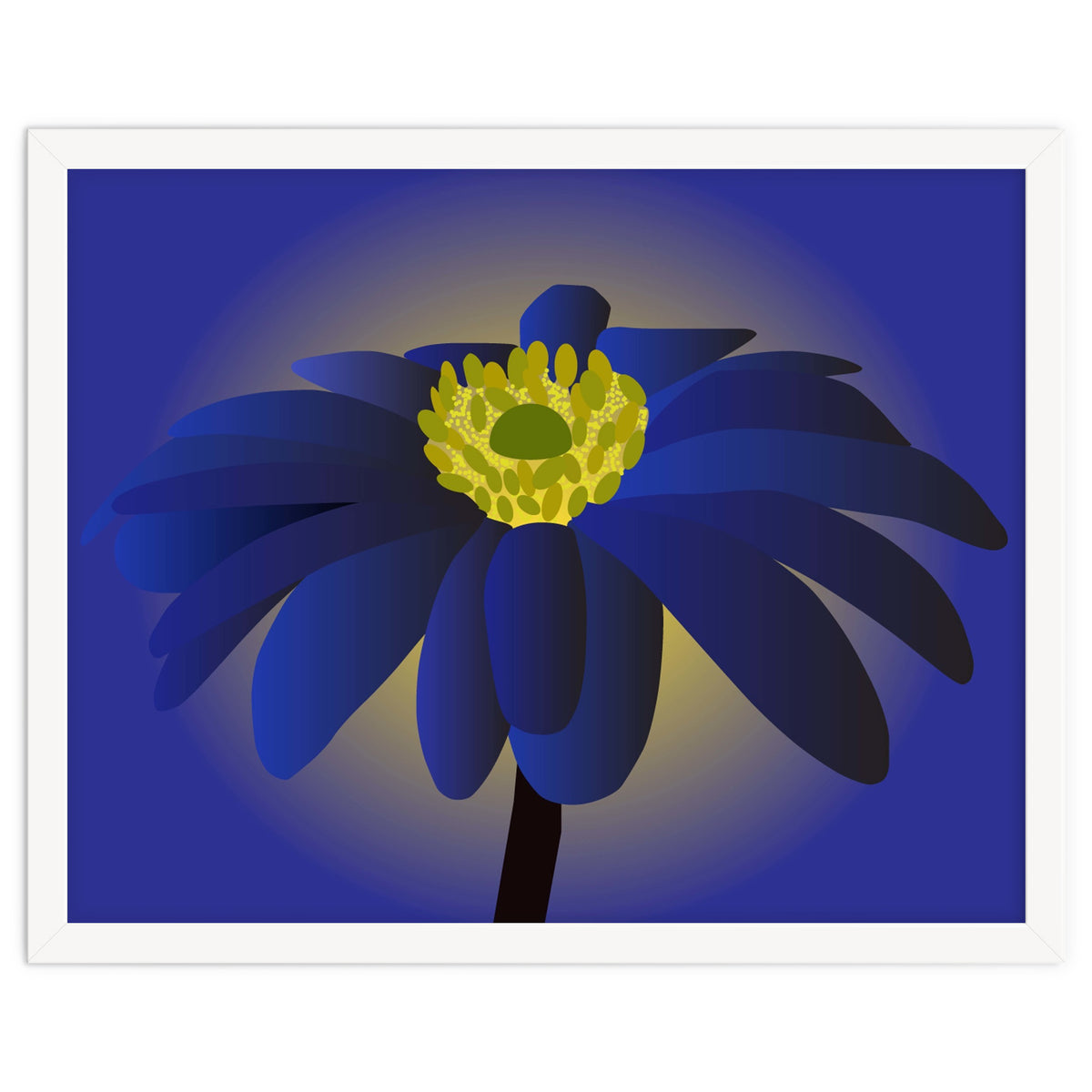 Anemone Blanda Flower Art